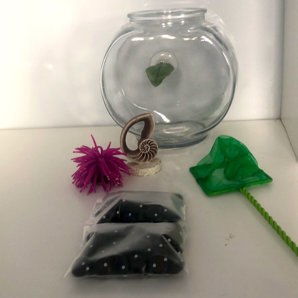 2 gallon fish tank and other items